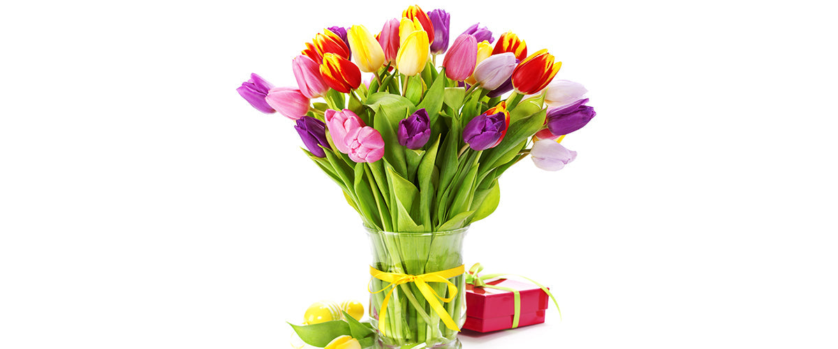 Tulips