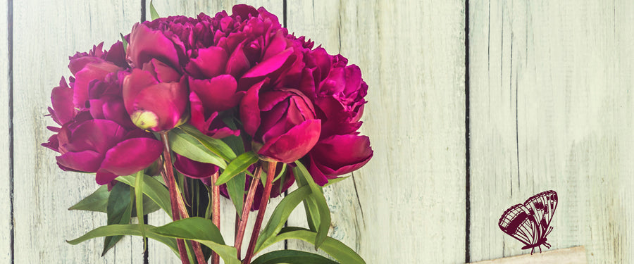 Thinking of You Flowers