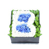 Welcome Baby Boy Flower Box - Heart & Thorn delivery - USA delivery