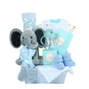 Baby Boy Gift Basket - Heart & Thorn flower delivery - USA delivery