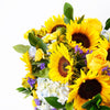 Charming Amber Sunflower Arrangement. Sunflower, Hydrangea, Statice, Roses, Alstroemeria, Spray Roses, and Greens in a Tall Green Designer Box. Flower Gifts from Heart & Thorn USA - Same Day USA Delivery.