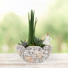 Potted Succulent Garden - Heart & Thorn delivery - USA delivery