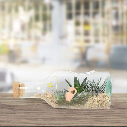 Succulent Garden in a Bottle