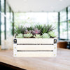 Succulent Garden Crate - Heart & Thorn delivery - USA delivery