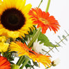 Exalted Amber Sunflower Arrangement. Vibrant Selection of Sunflowers, Gerbera, Roses, Spray Roses, Daisies, and Greenery, Gathered Together in a Round Black Designer Box. Mixed Flower Gifts from Heart & Thorn USA - Same Day USA Delivery.