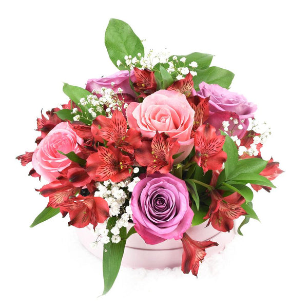 Box Flower Gifts  Soft Radiance Mixed Arrangement - Heart & Thorn USA