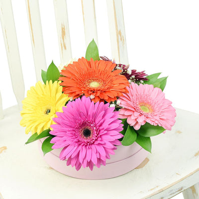 Vivacious Daisy Arrangement - Heart & Thorn flower delivery - USA delivery