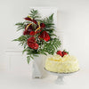 Warm Thoughts Flowers & Cake Gift from Heart & Thorn USA - Cake Gift Basket - USA Delivery