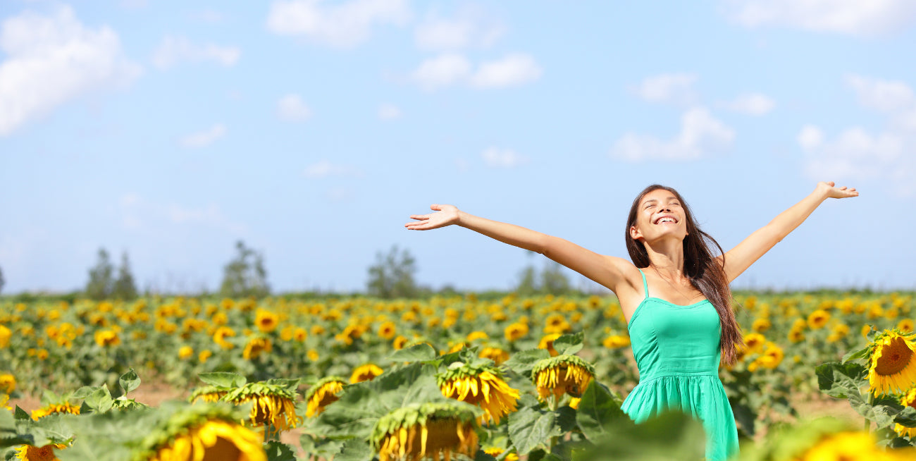 Best Summer Flowers for a Beautiful Garden