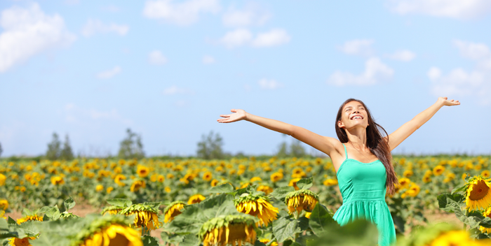 Best Summer Flowers for a Beautiful Garden