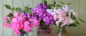 Cascade Flower Arrangement Gifts Delivered to America