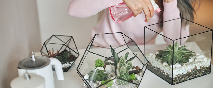 Terrariums