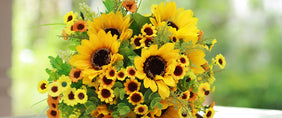 Sunflower Gifts Delivered to America