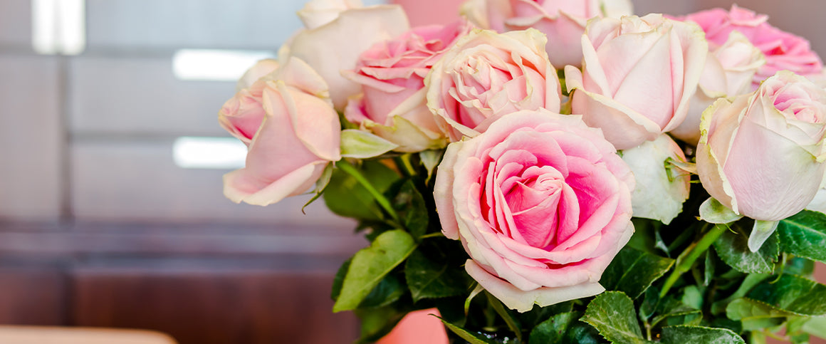 Housewarming Flowers