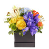 Bursting Beauty Iris Box Arrangement from Heart & Thorn USA - Flower Gift - USA Delivery