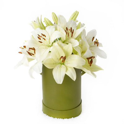 Cornsilk Surprise Lilies Box Arrangement