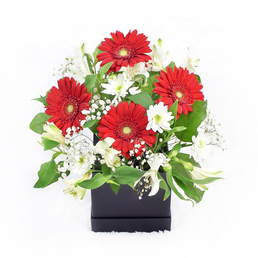 Fresh As a Daisy Gift Box - Heart & Thorn flower delivery - USA delivery