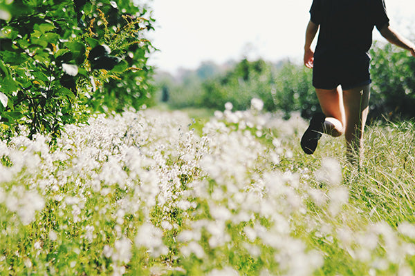 Flower Delivery Toronto - Flower Subscription Toronto - Weekly Flowers Canada - Weekly Flowers New York 