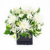 Peaceful White Mixed Floral Arrangement from Heart & Thorn USA - Flower Gift - USA Delivery