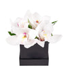 Simple Orchid Gift Box from Heart & Thorn USA - Flower Gift - USA Delivery