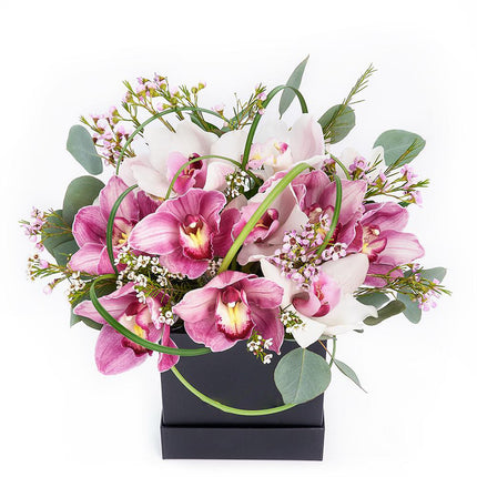Softly Pink Orchid Box Arrangement