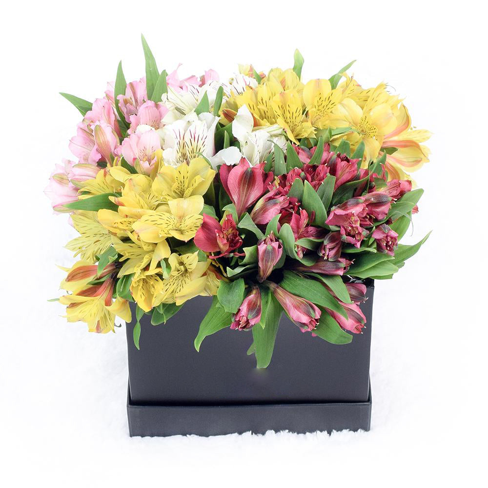 Spring Bloom Peruvian Lily Hat Box - Heart &amp; Thorn flower delivery - USA delivery