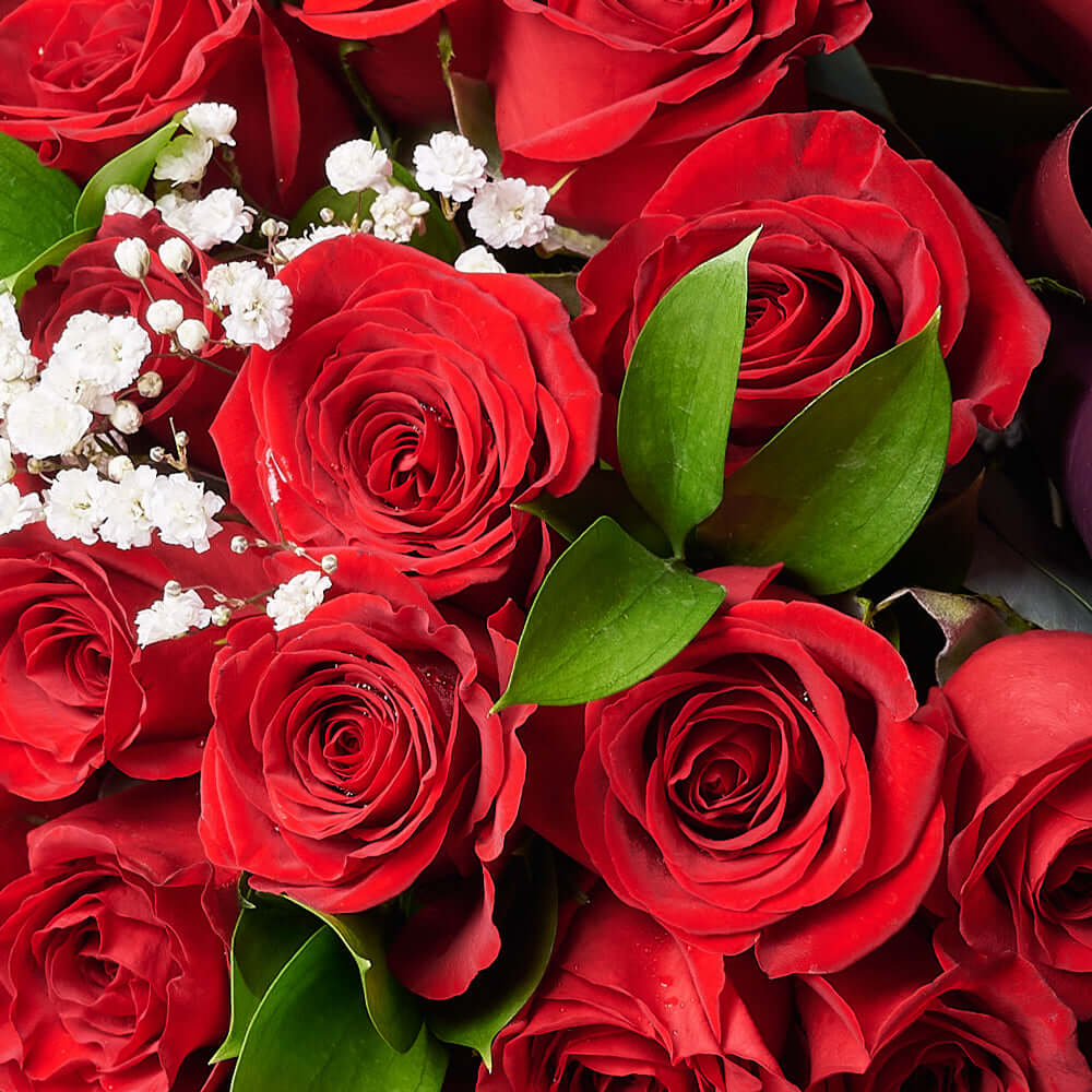 Valentine's Day 36 Red Roses Bouquet
