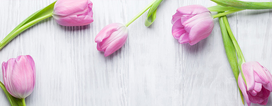 flower subscriptions toronto