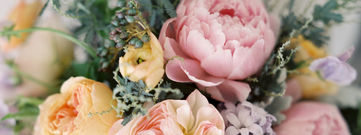 Flower of the Month Club - Plant of the month club