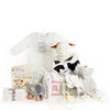 ABC Baby Gift Basket - Heart & Thorn baby gift basket delivery - USA delivery