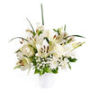 Alabaster Mixed Lily Arrangement from Heart & Thorn USA - Flower Gift - USA Delivery