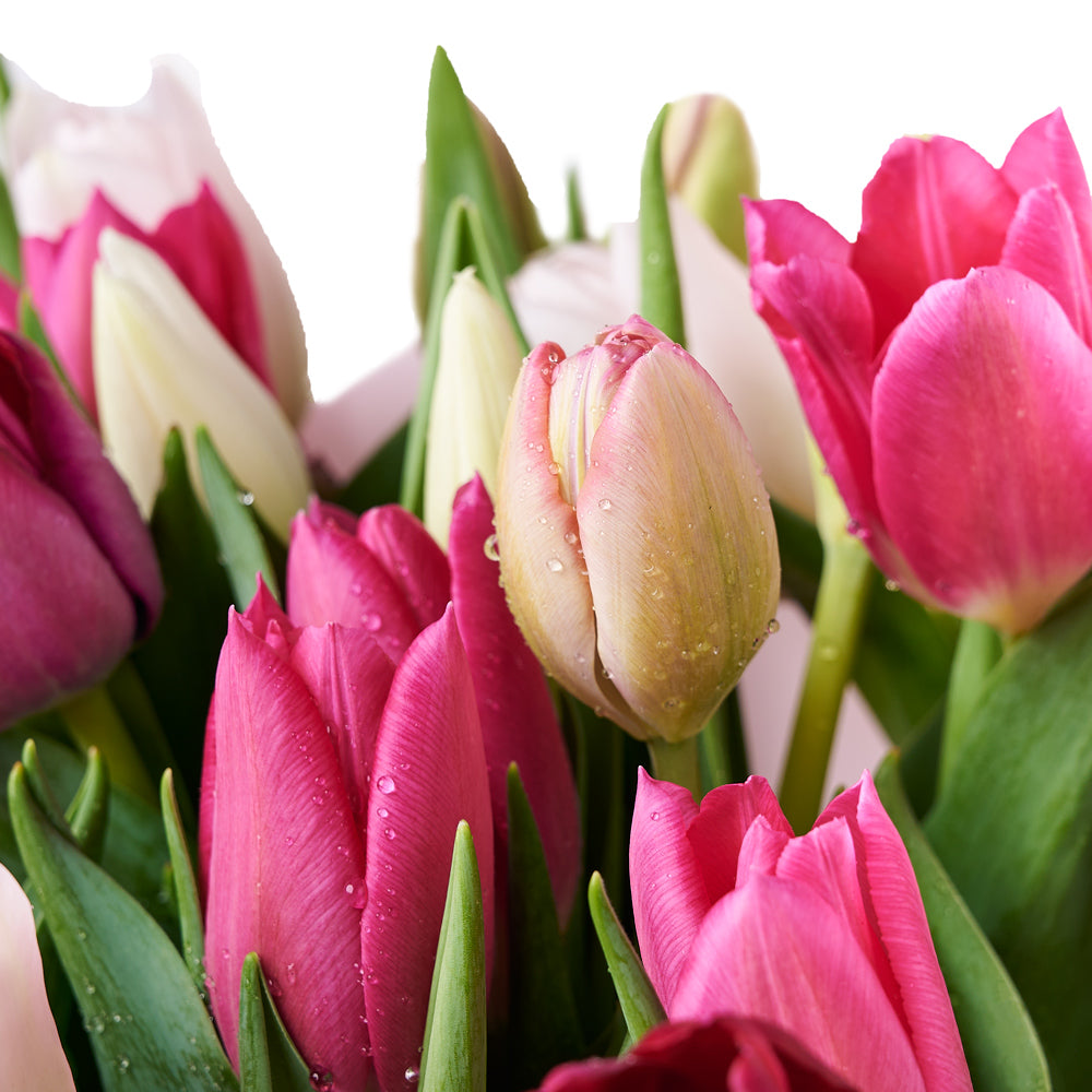 Mother’s Day Assorted Tulip Bouquet & Box, mother's day flowers, tulips, mother's day