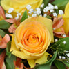 Autumnal Sunset Arrangement - Heart & Thorn flower delivery - USA delivery