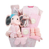 Baby Girl Plush Gift Basket - Heart & Thorn gift basket delivery - USA delivery