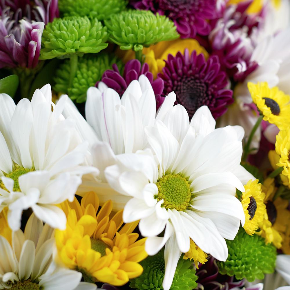 Be A Wildflower Daisy Bouquet - Heart & Thorn flower delivery - USA delivery