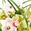 “Berry Special” Orchid Arrangement - Heart & Thorn flower delivery - USA delivery