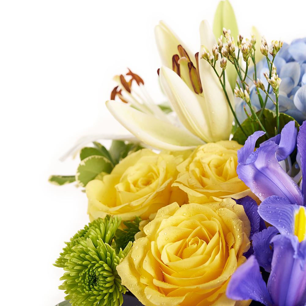 Bursting Beauty Iris Box Arrangement. Roses, Irises, Spray Roses, Hydrangea, Lily, and Greens Gathered Together in a Stylish Box. Mixed Flower Gifts from Heart & Thorn USA - Same Day USA Delivery.