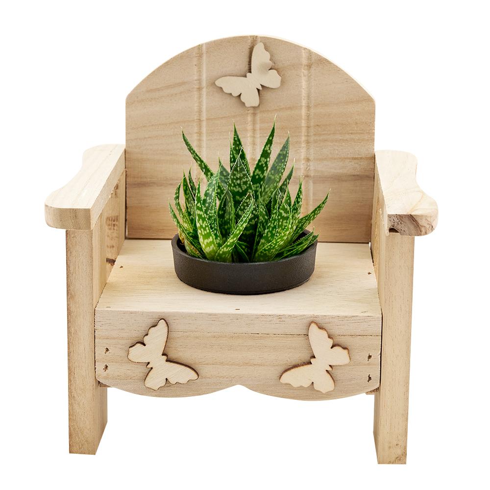 Butterfly Planter Chair Arrangement - Heart & Thorn Flower delivery - USA delivery