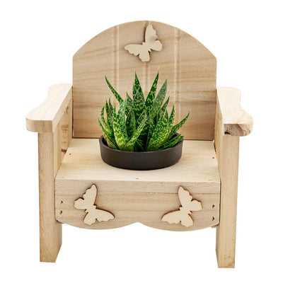 Butterfly Planter Chair Arrangement - Heart & Thorn Flower delivery - USA delivery