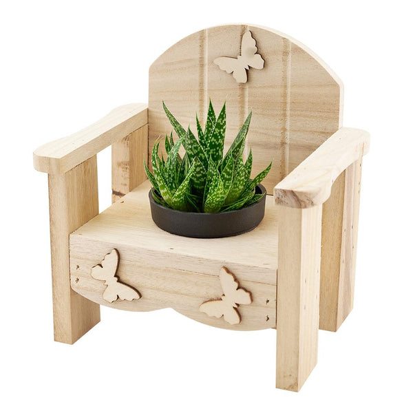 Butterfly Planter Chair Arrangement - Heart & Thorn Flower delivery - USA delivery