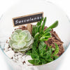 Circle of Life Succulent Terrarium - Heart & Thorn flower delivery - USA delivery