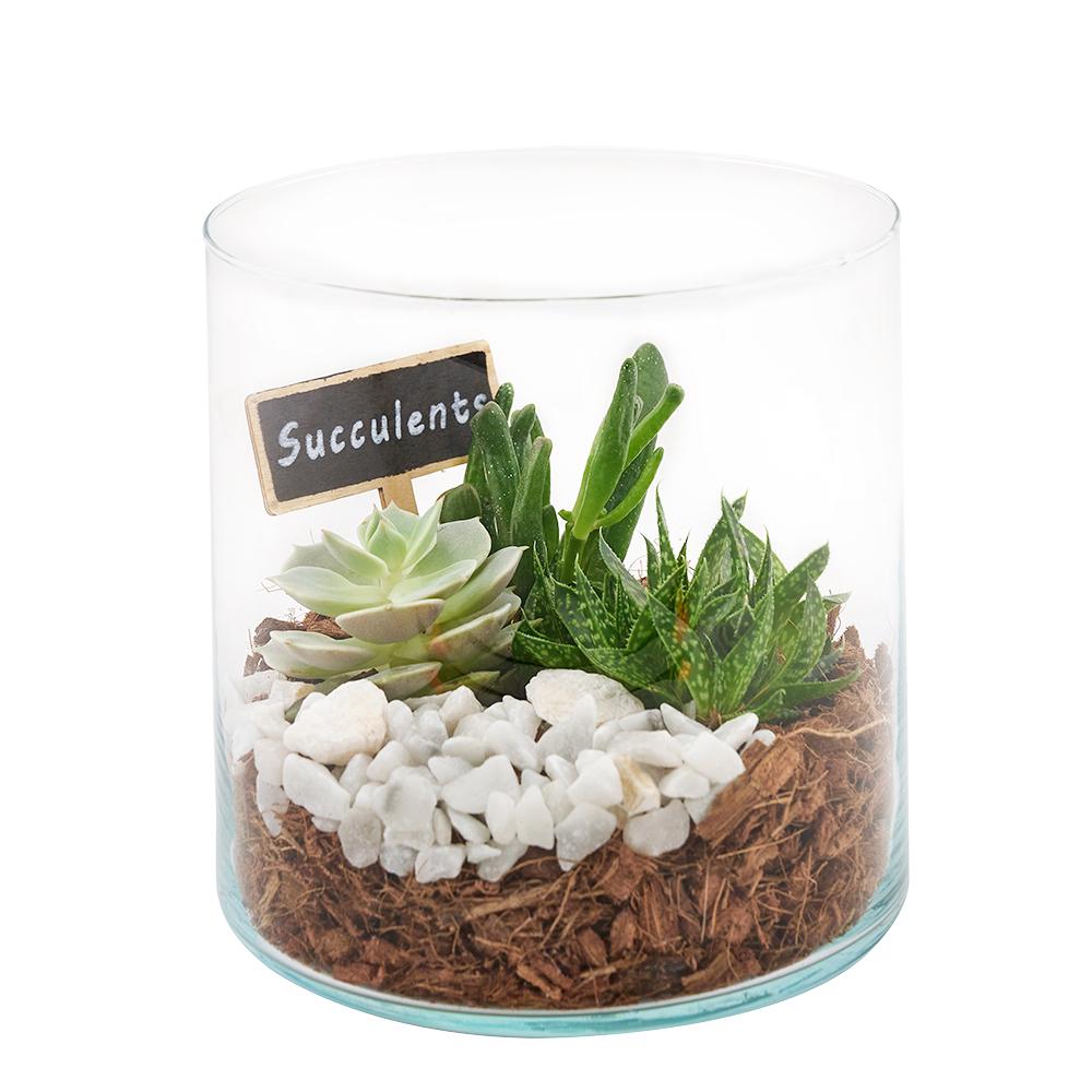 Circle of Life Succulent Terrarium - Heart & Thorn flower delivery - USA delivery