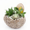 Easter Egg Rock Succulent - Heart & Thorn flower delivery - USA delivery