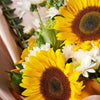 Eternal Sunshine Sunflower Bouquet. Fresh Selection of Sunflowers, Green Hydrangeas, Daisies, Eucalyptus, and Ruscus Gathered in a Floral Wrap and Tied with Designer Ribbon. Mixed Flower Gifts from Heart & Thorn USA - Same Day USA Delivery.