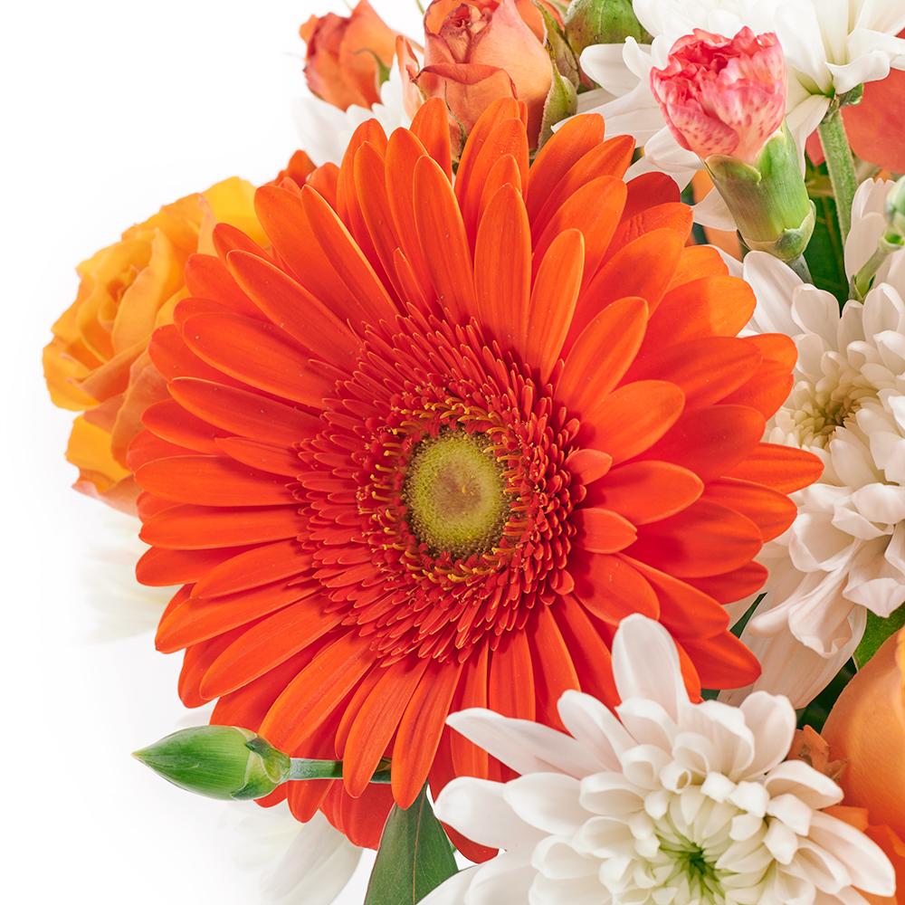 Forever Young Daisy Box - Heart & Thorn flower delivery - USA delivery