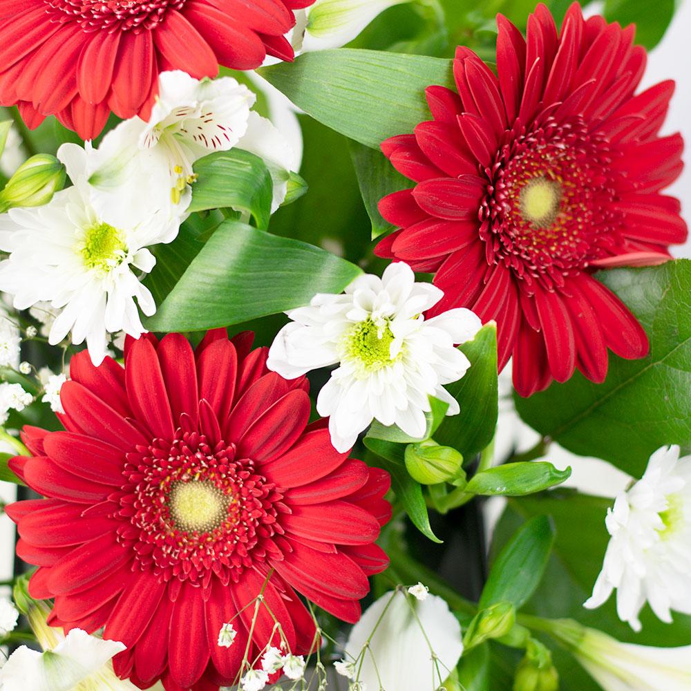 Fresh As a Daisy Gift Box - Heart & Thorn flower delivery - USA delivery 