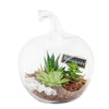 Green Aura Succulent Terrarium - Heart & Thorn flower delivery - USA delivery