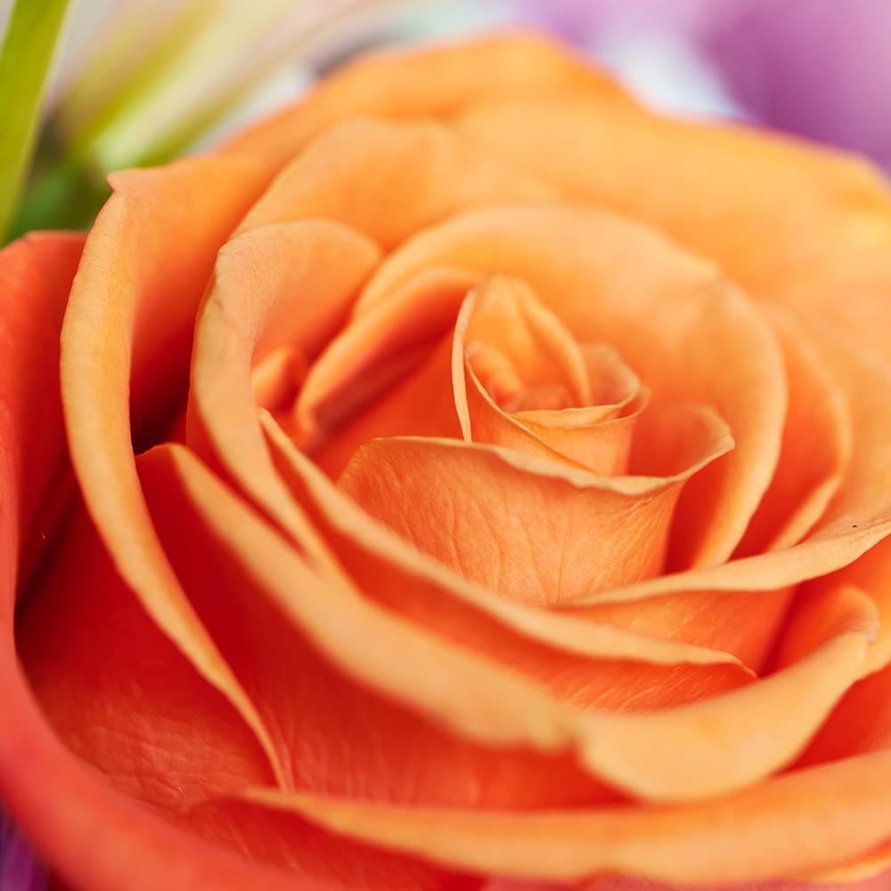 Heavenly Scents Flowers & Candle Gift. Roses, Daisies, Lilies, Alstroemeria, and Greens in a Ceramic Vessel, Paired with a Soothing Lavender-Scented Candle. Mixed Floral Gifts from Heart & Thorn USA - Same Day USA Delivery.