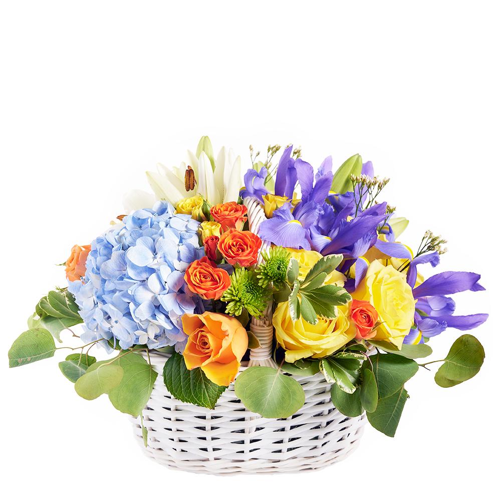 Irises in Paradise Mixed Arrangement from Heart &amp; Thorn USA - Flower Gift - USA Delivery