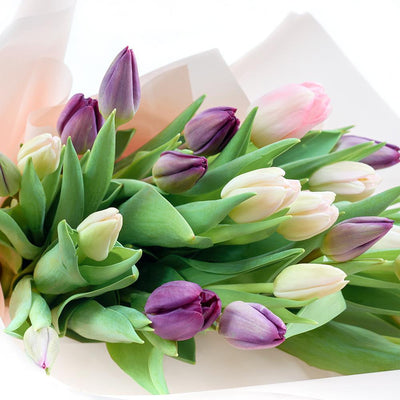 Lilac Dreams Tulip Bouquet - Heart & Thorn flower delivery - USA delivery